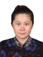 王晓美